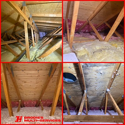Upgrade your attic insulation!